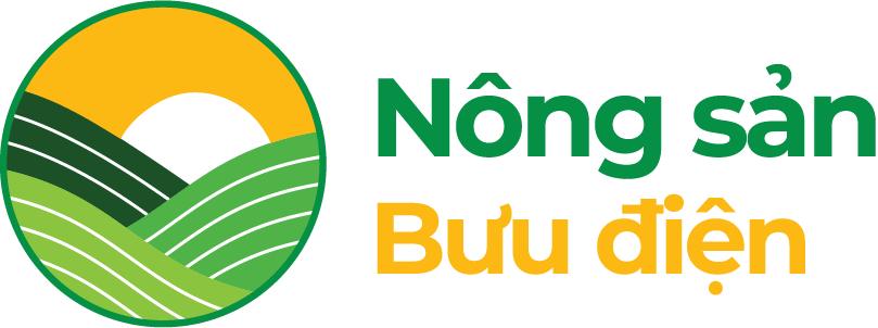 Cách dùng dây chun buộc chéo hộp giấy để giữ kín