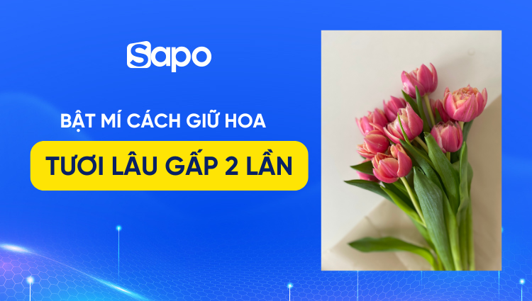 Cắt gốc cành hoa dưới nước