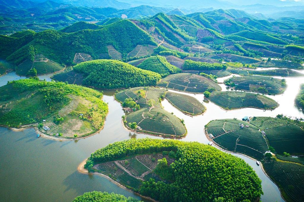 Vẻ đẹp thơ mộng của Đảo Chè Thanh Chương