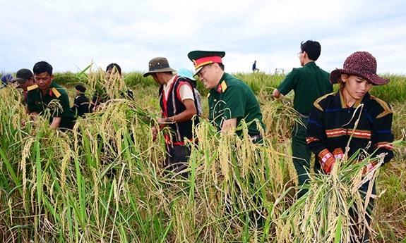 Cảnh đêm bên bếp lửa nhà Rông với cụ Mết đang kể chuyện