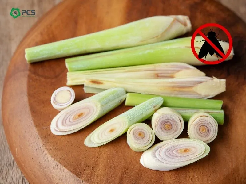 Lọ giấm táo đặt trên bàn ăn để thử nghiệm đuổi ruồi