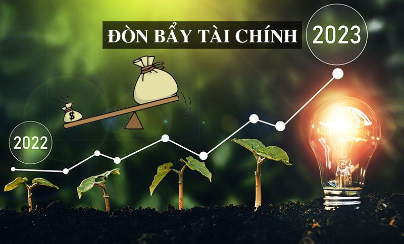 Rủi ro của đòn bẩy tài chính